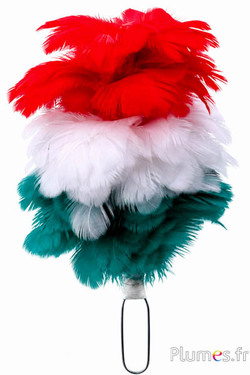 Pluim hen met ring - hoogte 20 cm - groen-wit-rood